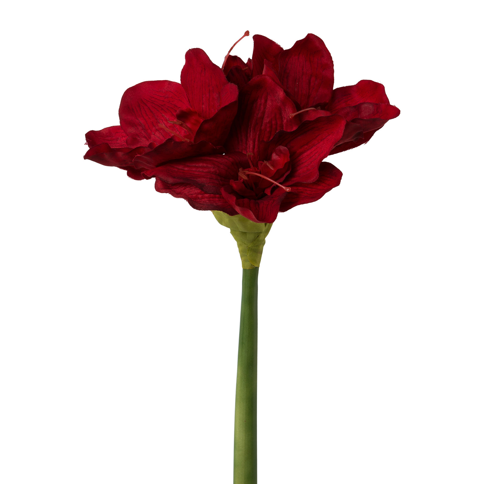 Amaryllis BRIZIO Kunststoff Rot, Kunstblume, Amaryllis, dunkelrote Blüte, grüner Stiel, Einzelblume