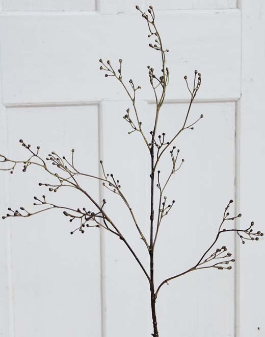  // Beerenzweig virburnum // natur // Höhe ca. 99 cm