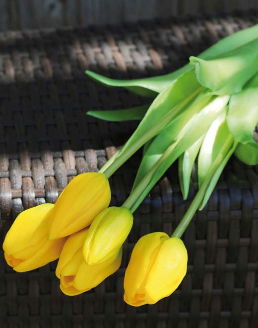 Andreas Tulpenbund, 5-f, 47cm, RT in französisch, gemischt // Tulpenbund gemischt 5-fach // Real Touch, gelb // Höhe ca. 47 cm