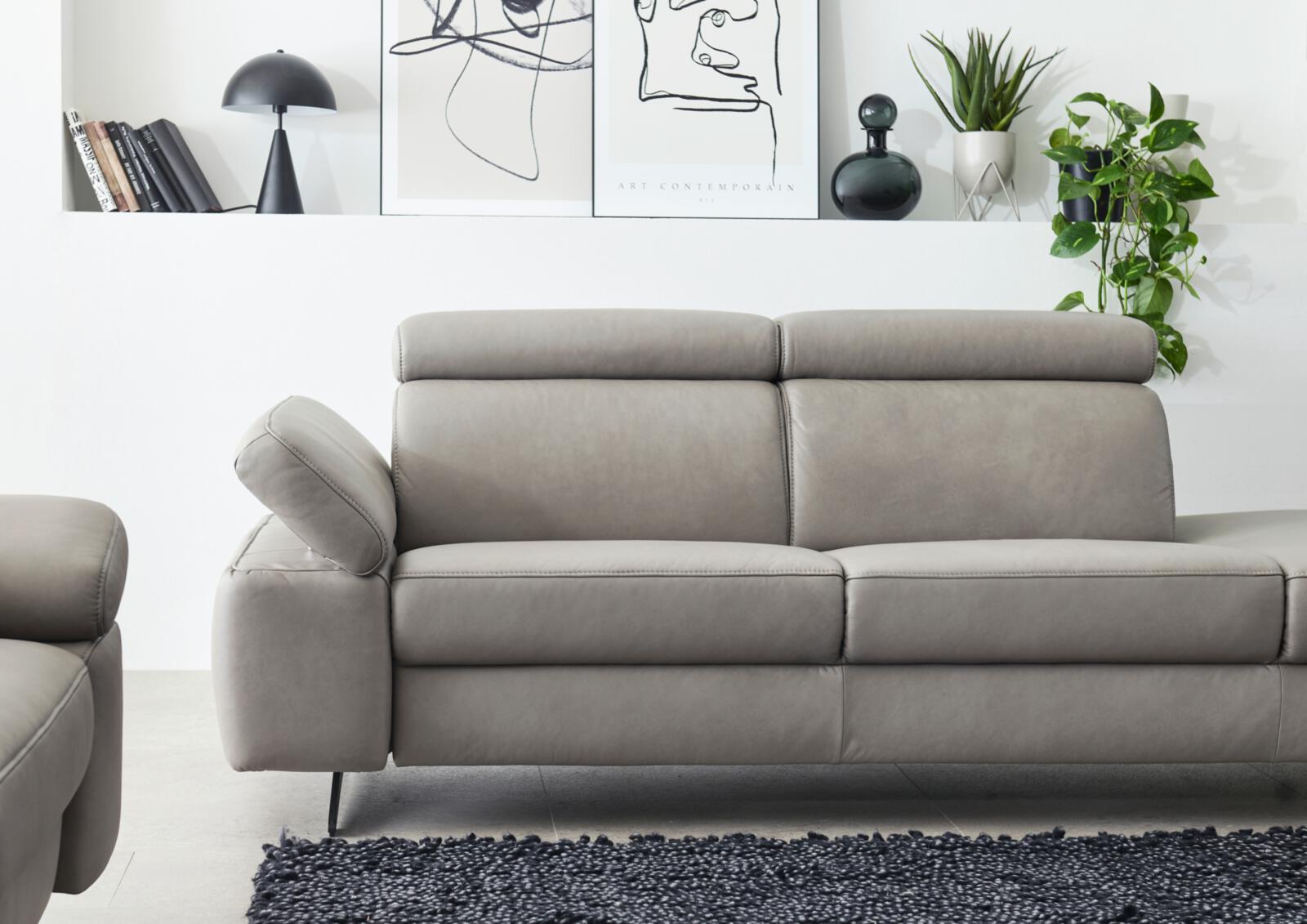 Himolla Sofa 2-sitzig 1183 366 E42 Grau, Sofa, Wohnzimmer, Ledersofa, Grau, Sessel