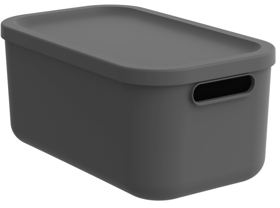 Rotho Box ALBULA LIGHT 12 Liter in Farbe anthrazit