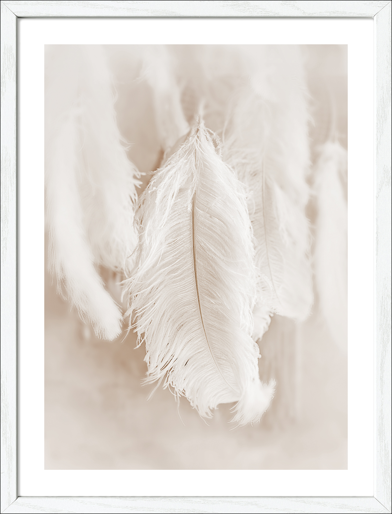 ProArt Framed-Art Slim Scandic 33x43cm The Feather II