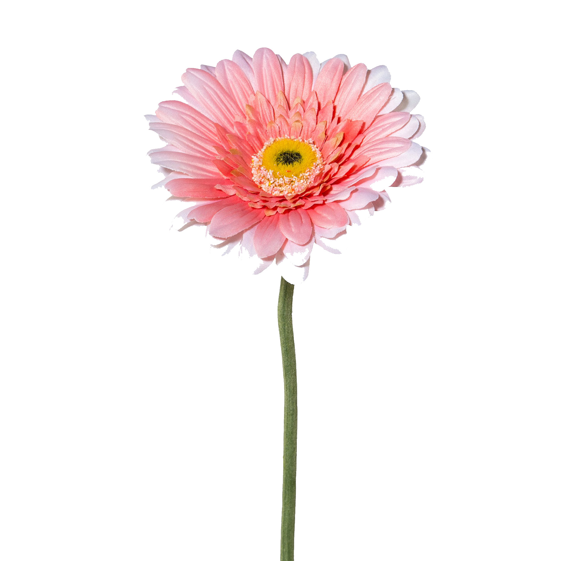 Gerbara 63cm rosa VARENIK in Rosa / Pink Gasper Gerbera VARENIK in rosa