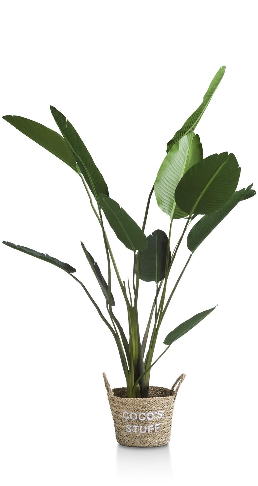 Coco Maison Kunstblume ca. H150 cm in Strelitzia Nicolai