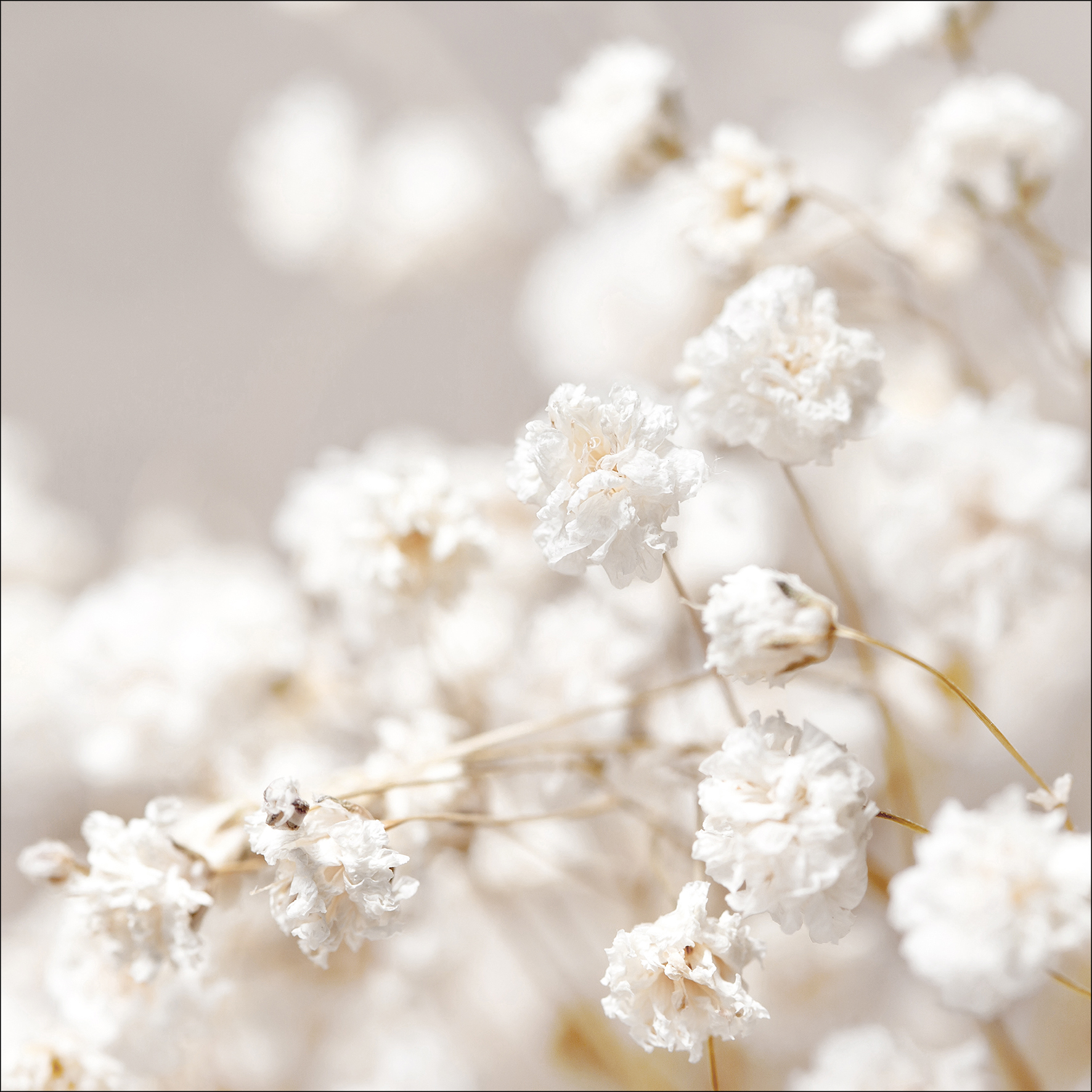 ProArt Glas-Art 50x50cm Meadow Flowers II