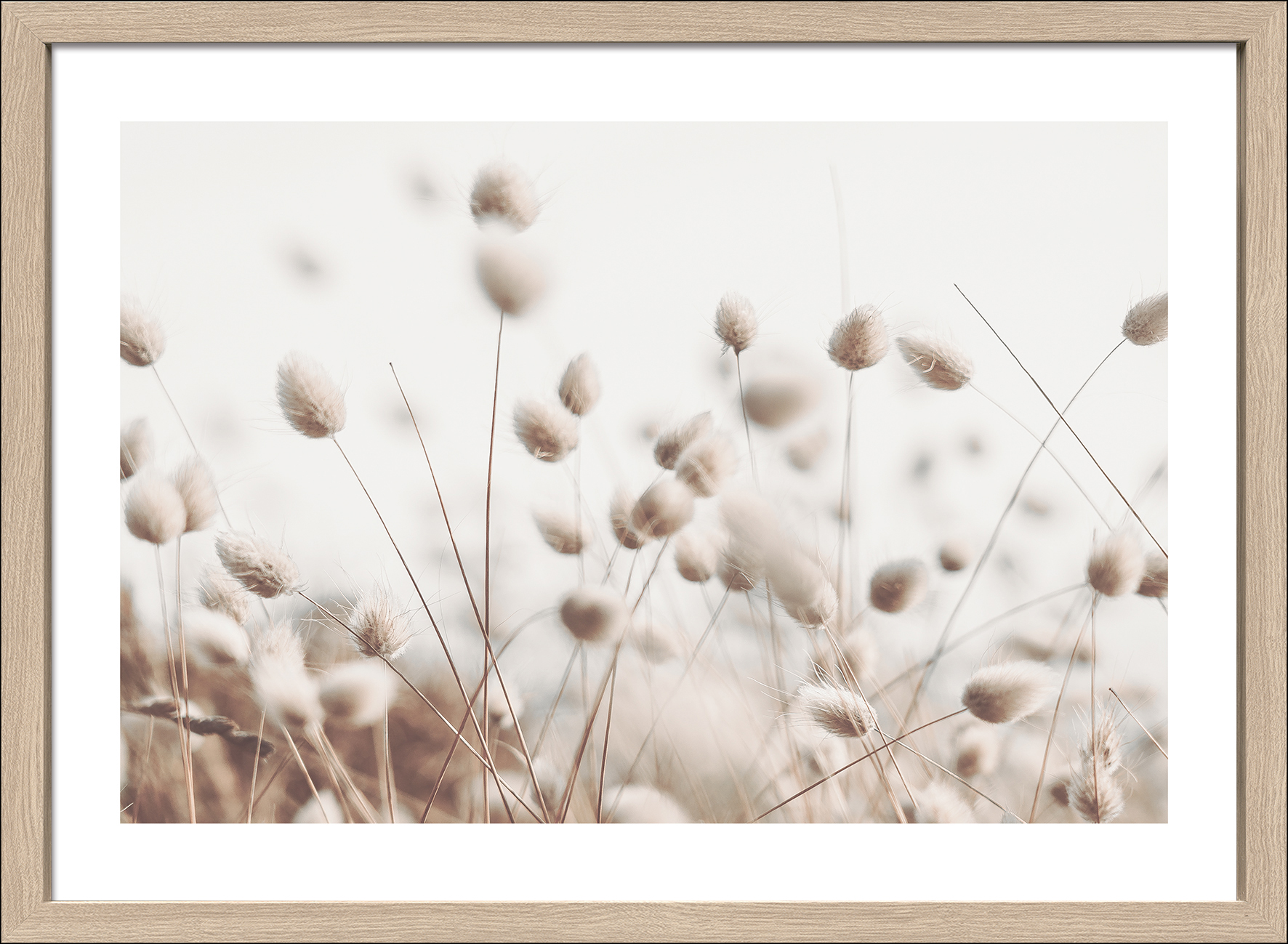 ProArt Framed-Art Scandic Living 75x55cm Dried fieber in the wind II