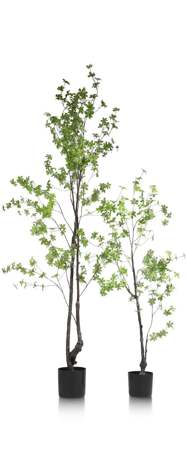 Coco Maison COCO MAISON Tropaeolum kunstpflanze h210cm 