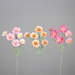 DPI Cosmea in Farbe drei Farben sortiert DPI Cosmea in Farbe drei Farben sortiert