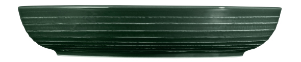 Seltmann Weiden Foodbowl 28cm Terra 3 Moosgrün 