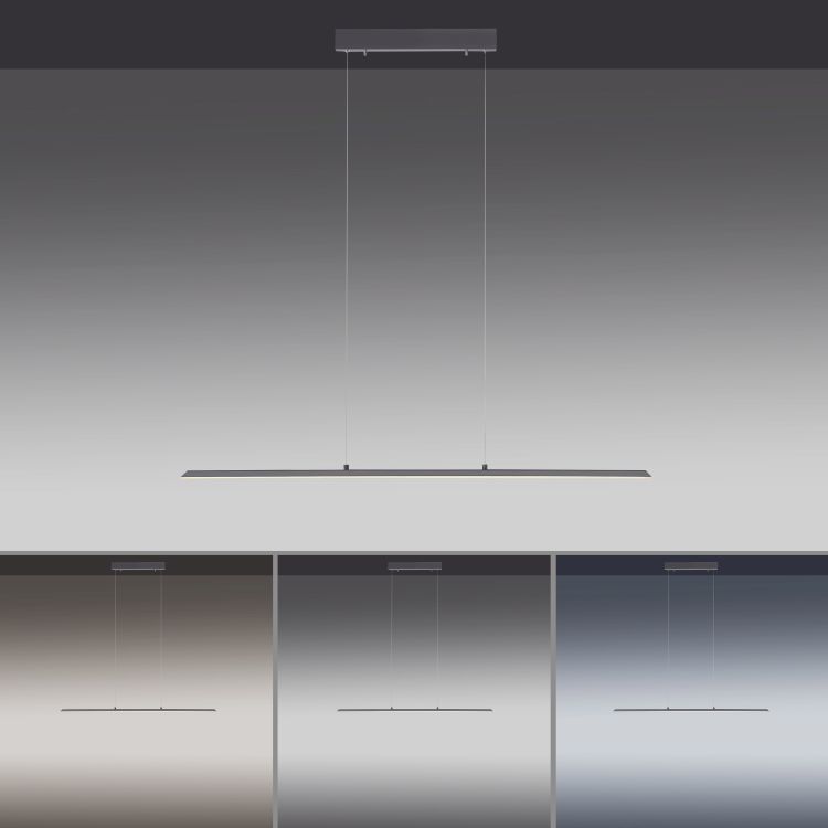 Paul Neuhaus LED-Pendelleuchte Pure-Lite in Anthrazit
