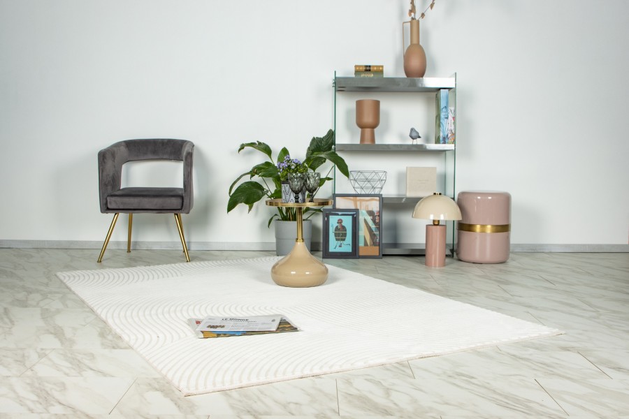 Webteppich ELIF. ca. 120x170cm in Farbe ivory, wohnzimmer, einrichtung, teppich, blumentopf, regal