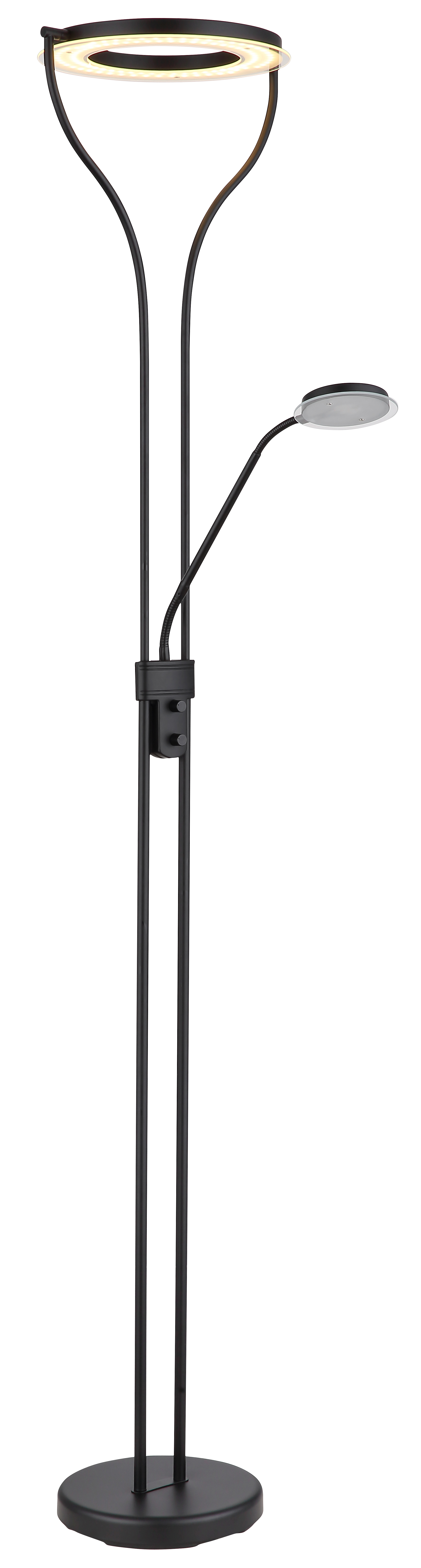 LED-Deckenfluter in Fb. Schwarz, Stehleuchte, Ringleuchte, Metall, Schwarz, Beleuchtung