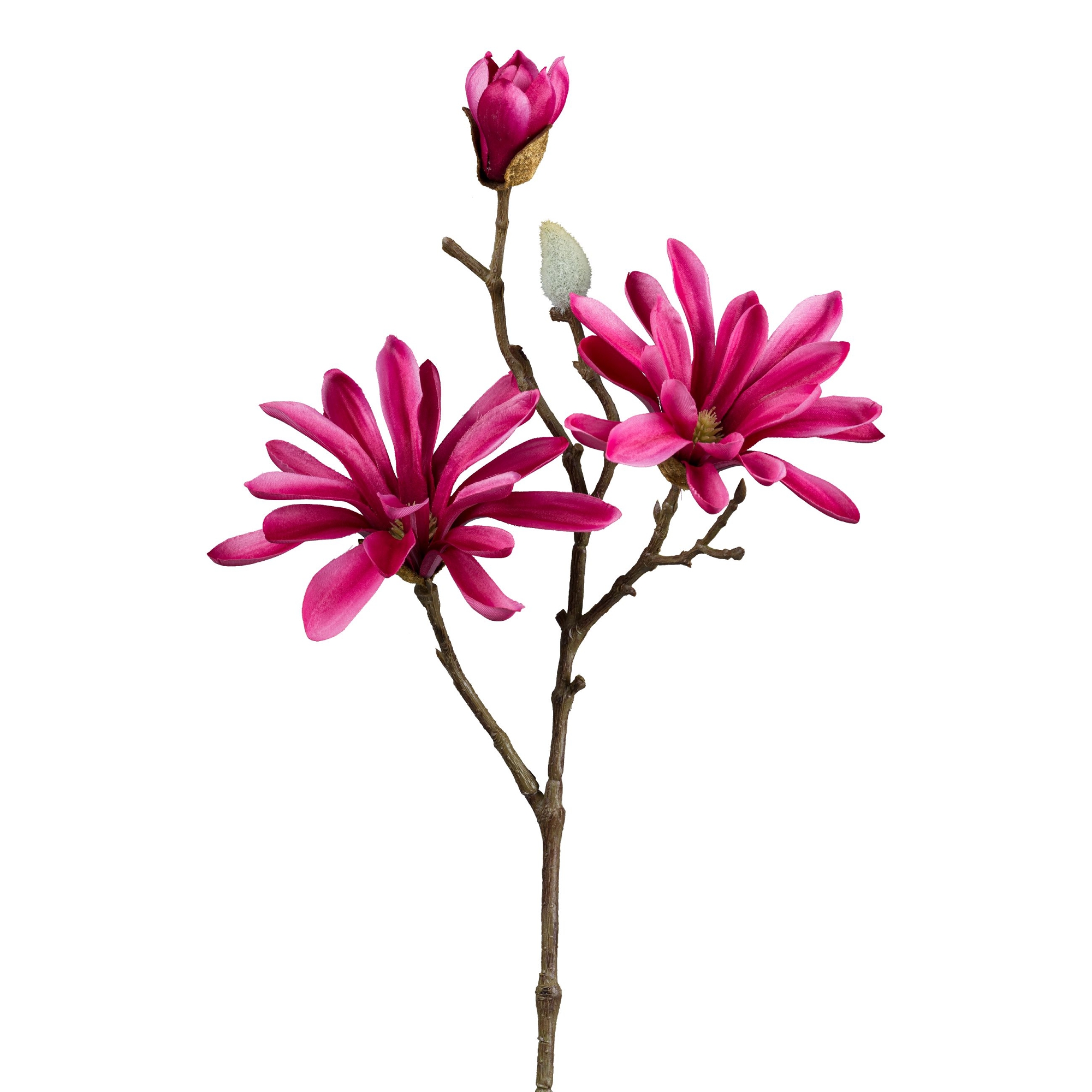 Sternmagnolie ca.45cm 1224006-04 in Sonstige Sternmagnolie ca.45cm 1224006-04 in Sonstige, Magnolia, Pink flowers, Branch, Florals, Bud