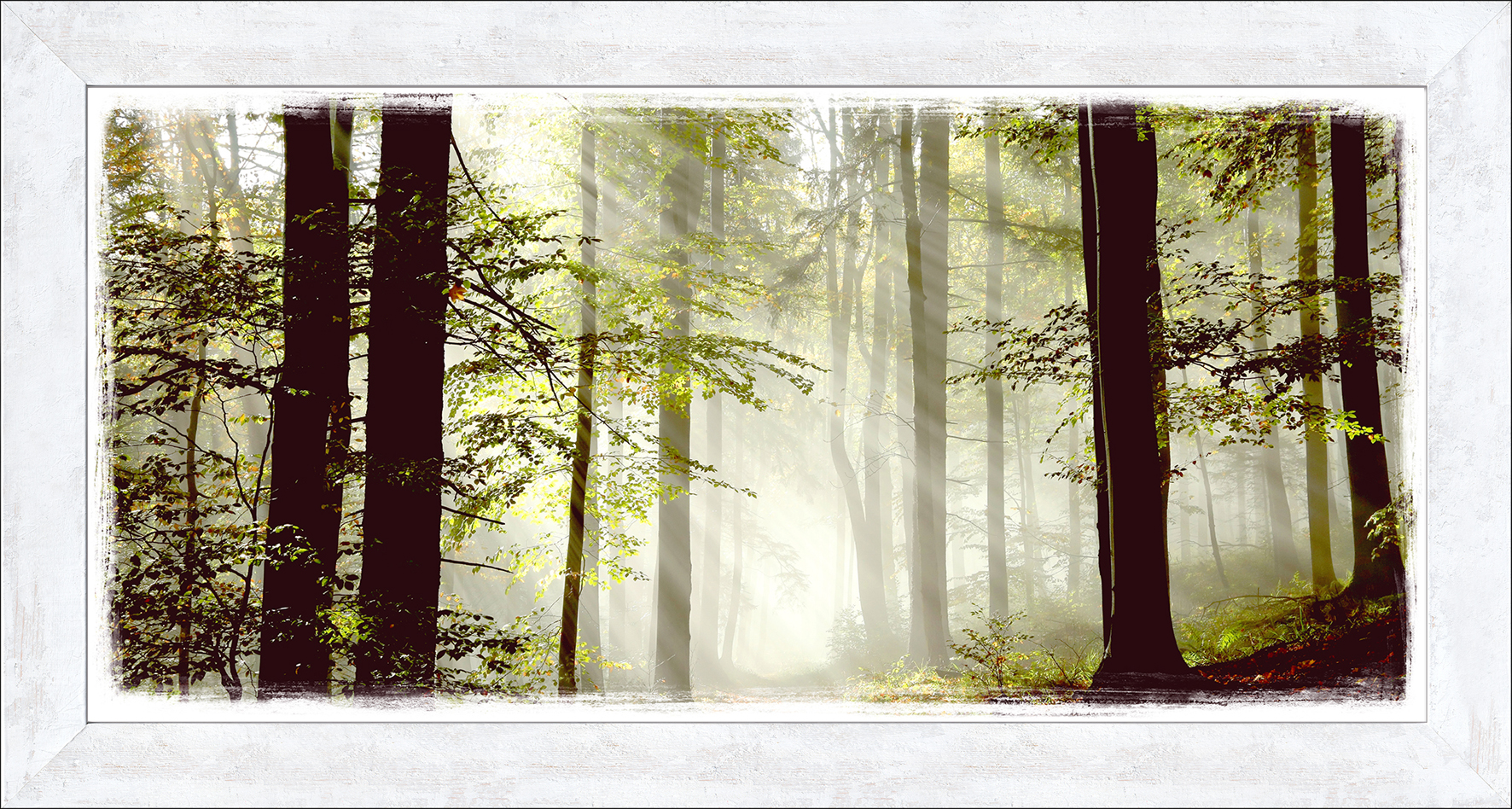 PRO ART New Classic Wood 129x69cm Forest Feeling I