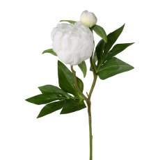 Peonie 46cm weiß 3020286-40 in Weiß Gasper Peonie in Farbe Weiß