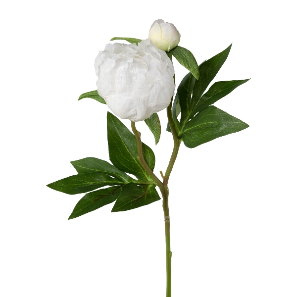 Peonie 46cm weiß 3020286-40 in Weiß, Pfingstrose, Blüte, weiße Blume, Stiel, Blätter