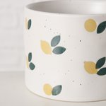Boltze Becher Lemon 320ml LEMON in STeinzeug Farbmix
