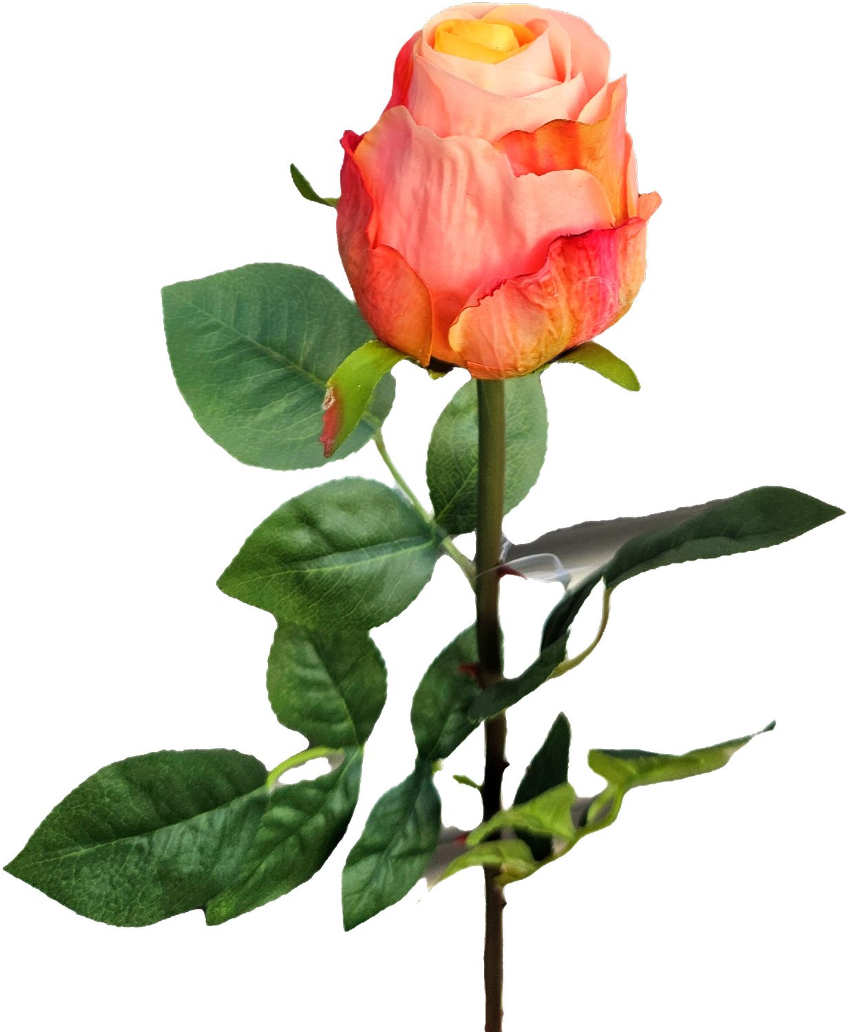 Andreas Kolumbianische Rose,75cm,SFT KUNSTROSE in Real Touch soft orange Andreas Kolumbianische Rose,75cm,SFT KUNSTROSE in Real Touch soft orange