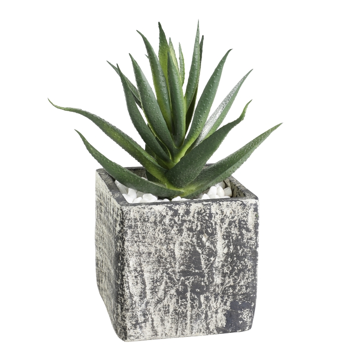 Eglo Living Kunstpflanze CHITOSE ca.B9,5 H13 T9,5 cm in Fb. grün, grau