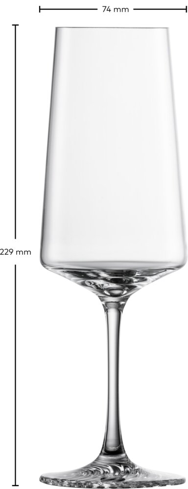 Zwiesel Glas Champagneglas ECHO 395ml Zwiesel Glas Champagneglas ECHO 395ml