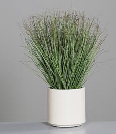 DPI Grasarrangement im Topf 65cm 57923 in two-tone-green