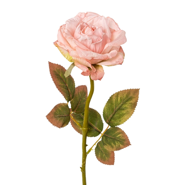 Rose 57cm rosa 3022085-10 in Rosa / Pink, Rose, Pink rose, Kunstblume Stamm, Stiel mit Blättern, Blüte