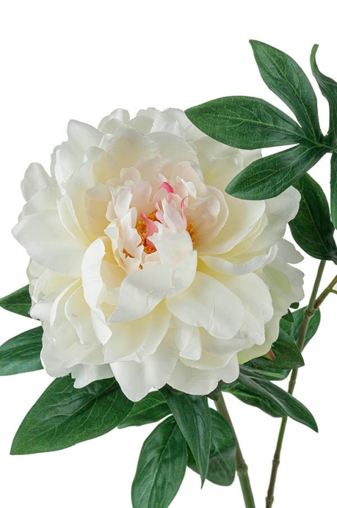 Päonie 68cm 2342778E1 in creme-weiß