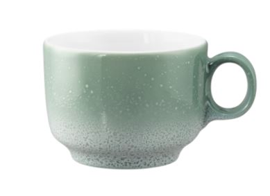 Seltmann Weiden Kaffeeobertasse 0,21 l mit Sento Home 10910 Aura mint 