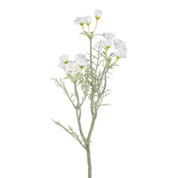 Mageritenzweig 55cm weiß 3024128-40 in Weiß Gasper Margerittenzweig in Farbe Weiß