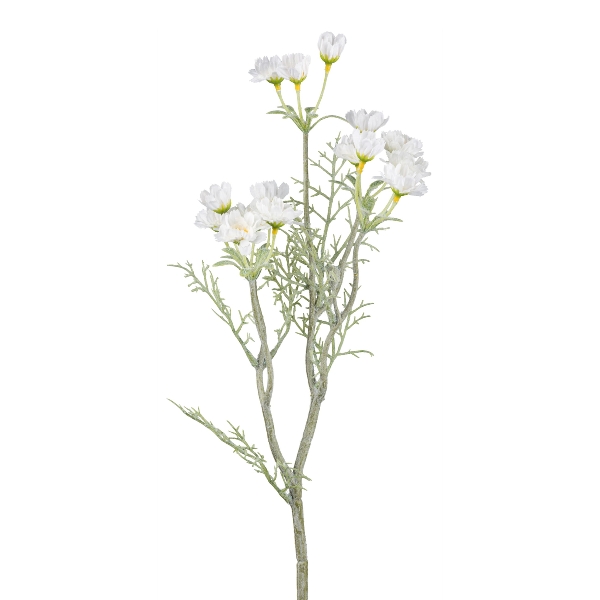 Mageritenzweig 55cm weiß 3024128-40 in Weiß, Blume, Weiße Blume, Deko-Blume, Trockenblume, Stielpflanze