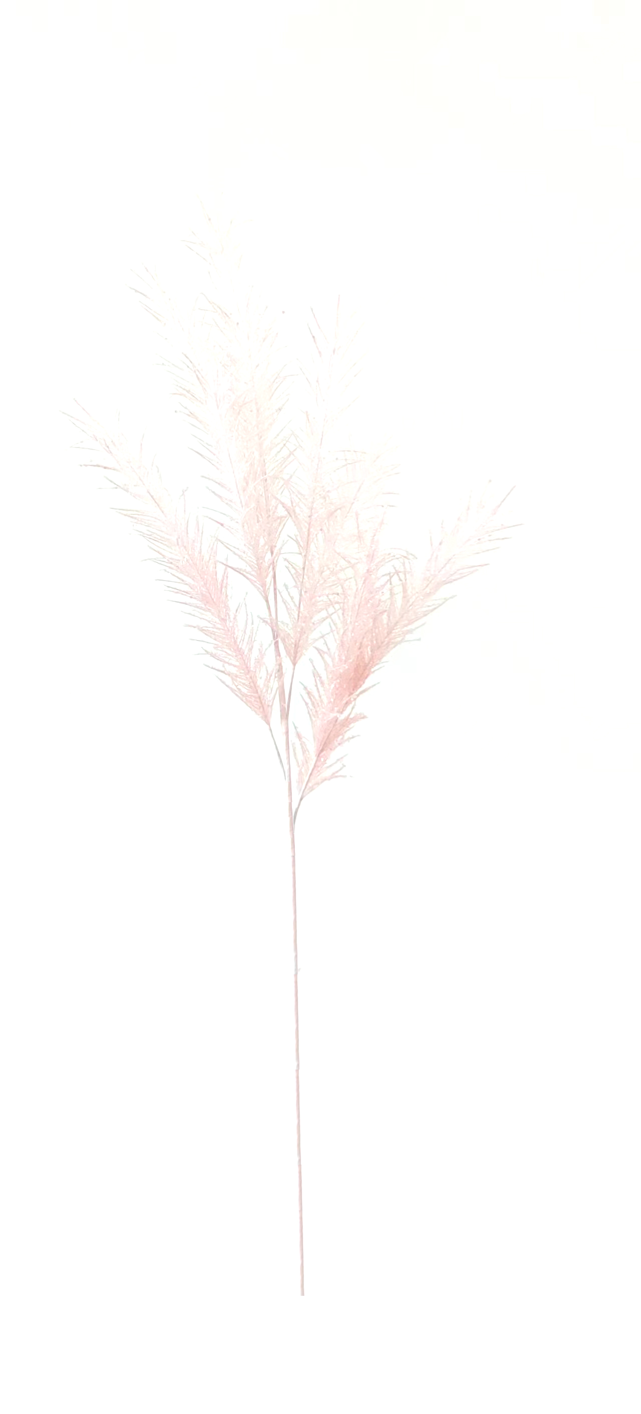 Flower Manufaktur Pampaswedel ca. 110cm in Farbe Hellrosa