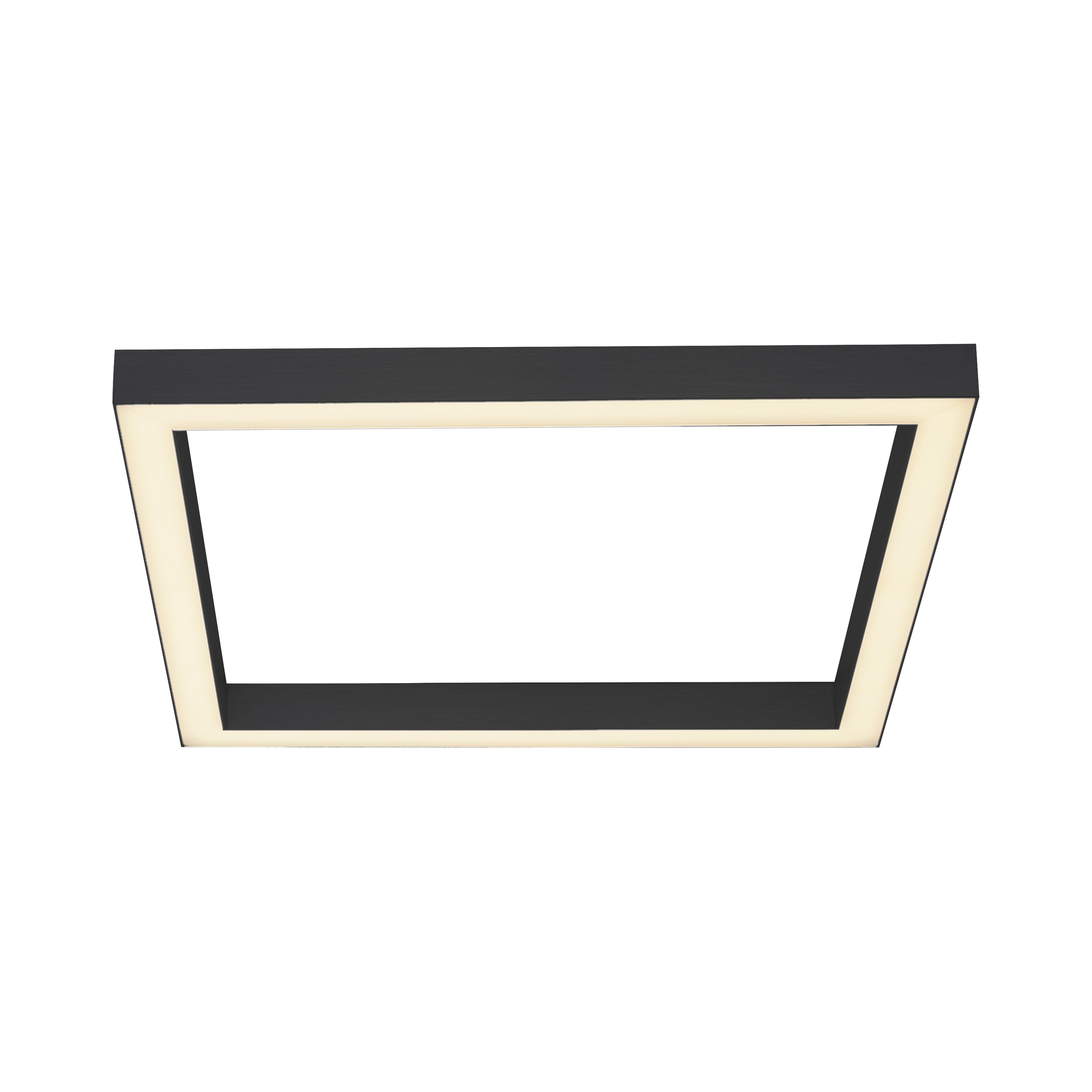 Paul Neuhaus LED-Deckenleuchte PURE LINES SQUARE 1-flammig in Farbe anthrazit, Deckenleuchte