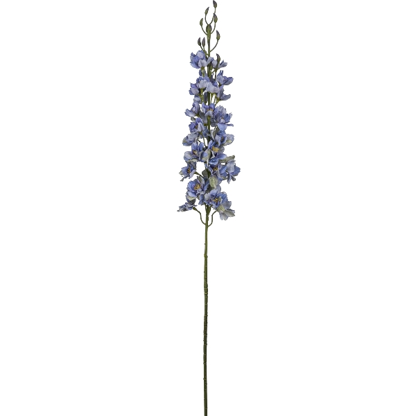 Gasper Rittersporn, 95cm,blau in Farbe Blau, blaues blütensträuch, lavendel-ähnlich, staude, blüte, stielpflanze