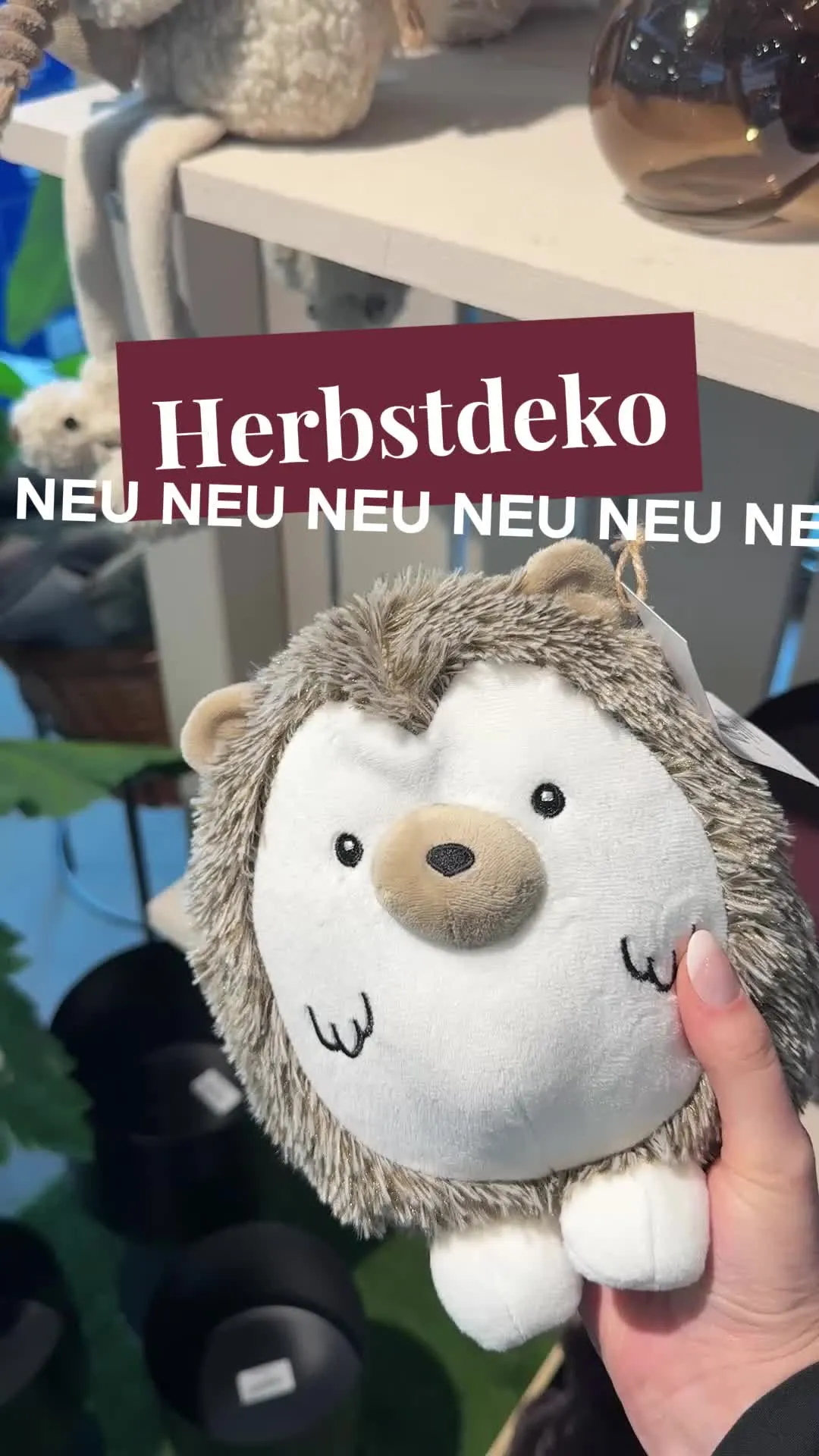🍂 Der Herbst zieht bei uns ein! 🤎  Kuschelige Kissen, warme Farben und kleine Deko-Highlights, die direkt für Gemütlichkeit sorgen. 🦔✨ Bei uns findet ihr viele neue Lieblingsstücke, mit denen Zuhause so richtig Herbststimmung aufkommt.  Welches Teil aus dem Reel ist euer Favorit? 👀🍁  #begeistern #wohnen #buss #oldenburg #wiesmoor #herbartgang #Herbstdeko #Herbstliebe #Dekoideen #GemütlichWohnen #Wohnideen #Herbst