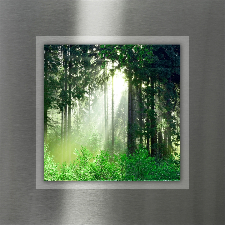 ProArt Double-Alu -Acryl bedruckt mit Aufsatz aus Acryl 50x50cm Mystic Forest III ProArt Double-Alu -Acryl bedruckt mit Aufsatz aus Acryl 50x50cm Mystic Forest III