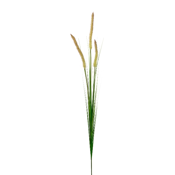 Penisetumgras 92cm OLEKSY in Grün, gras, decorative grass, dried grass, plume, weizengras