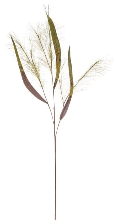  // Schilfgras // grün // Höhe ca. 110 cm