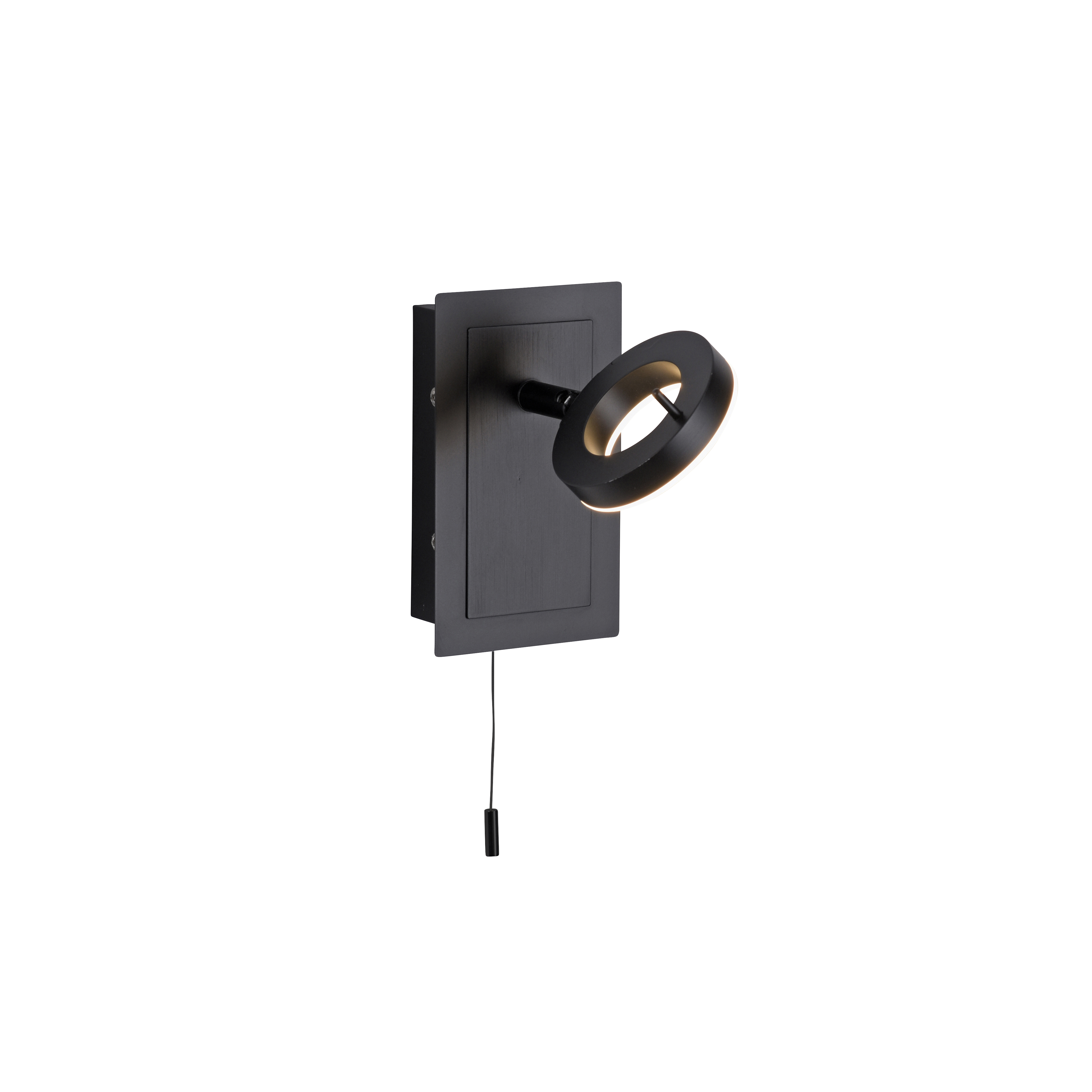 Paul Neuhaus LED-Wandleuchte Sileda in Anthrazit