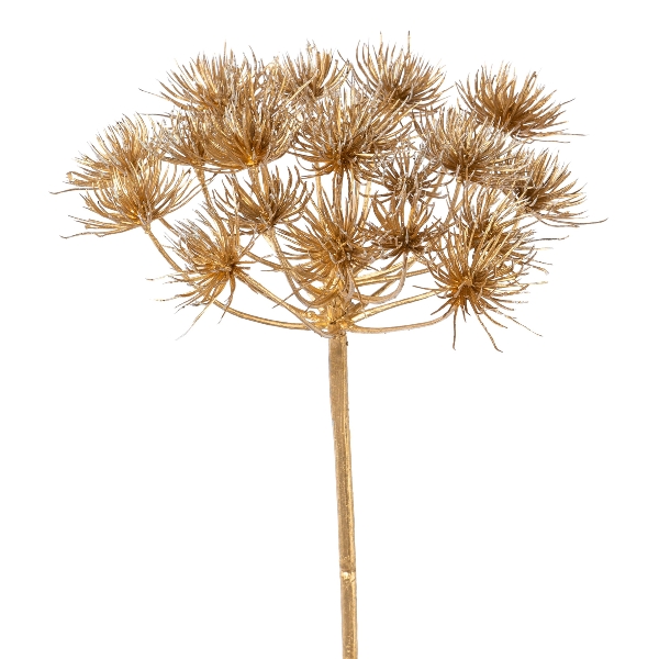 Gasper Heracleumzweig, 78 cm, gold, in Farbe Gold, Deko-Blume, Trockenblume, Stiel, Kugelblüte, Allzweck‑Dekoration