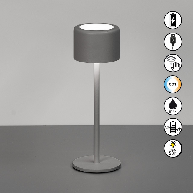 FH Lighting LED-Tischleuchte JUNA in Metall sandgrau, Tischlampe, Stehleuchte, Grau, Filament-Lampe, Rundschirm