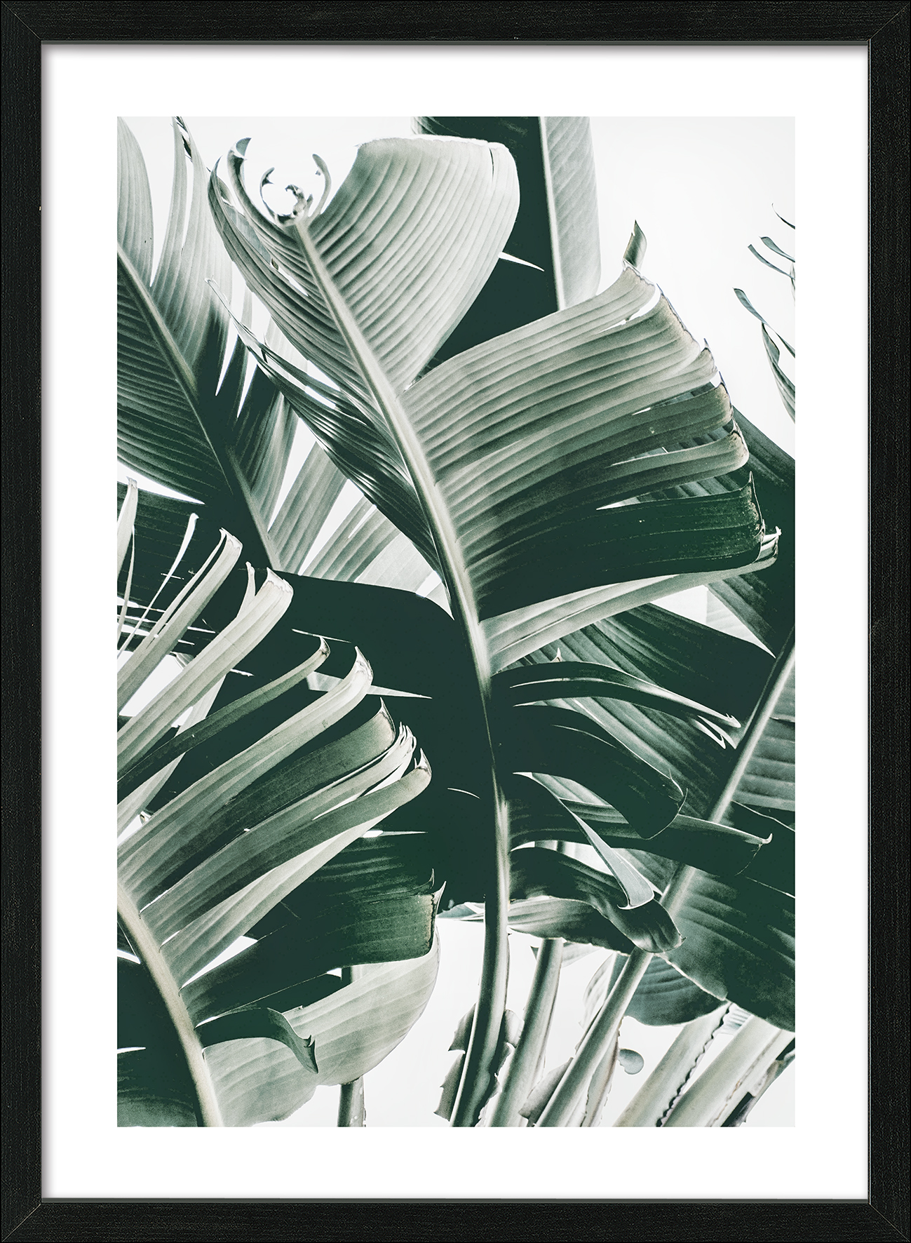 ProArt Framed-Art Scandic Living 55x75cm Jungle Leaves IV ProArt Framed-Art Scandic Living 55x75cm Jungle Leaves IV
