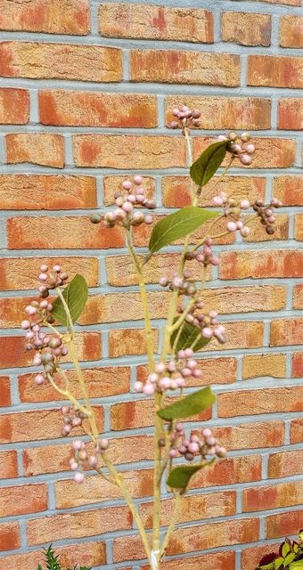 Beerenzweig 78 cm Vintage in antik-dunkelrosa