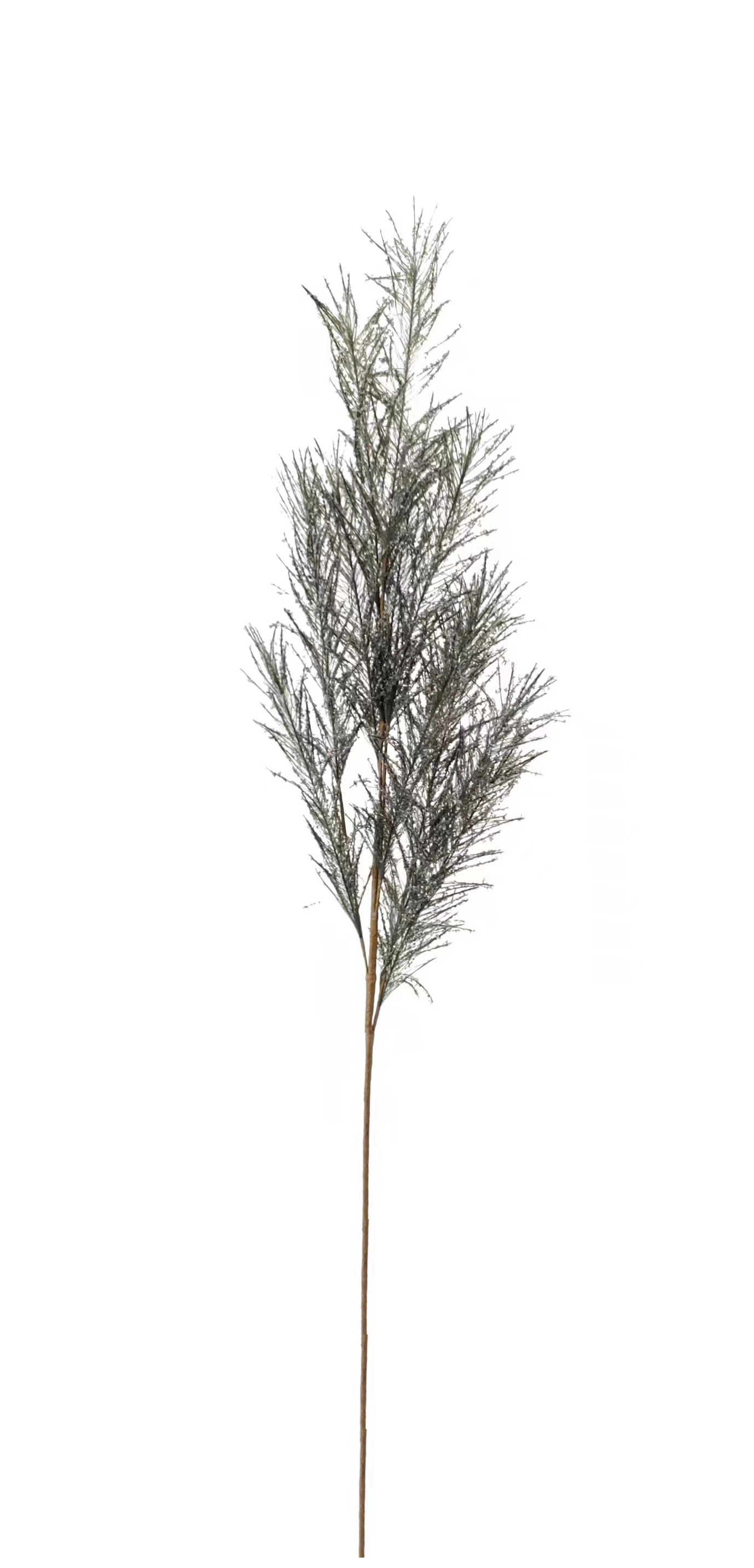 Pampaswedel ca.110cm 9650-996 in Silber / Metall Pampaswedel ca.110cm 9650-996 in Silber / Metall, Zweig, Künstlicher Baum, Dekoration, Kunstpflanze, Deko-Zweig