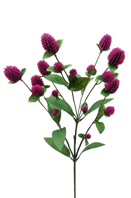 Wilddistel 69cm in hellviolett-dunkelviolett