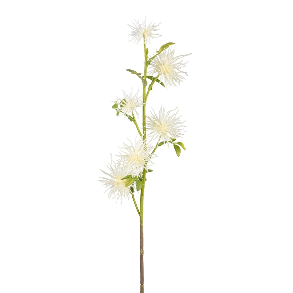 Distelzweig 53cm weiß in , Blume, Kunstpflanze, weiße Blüten, Stammpflanze, Zierpflanze