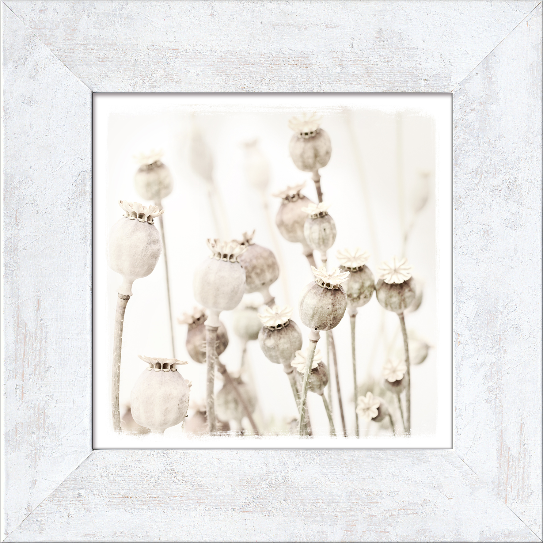 ProArt New Classic Wood 44x44cm Dried Poppies ProArt New Classic Wood 44x44cm Dried Poppies
