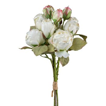 Gasper Vintagerosenbund in Farbe Creme