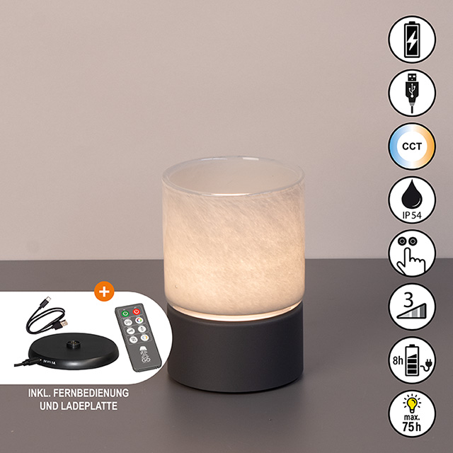 LED-Tischleuchte ARIVA PRO in Glas sandgrau