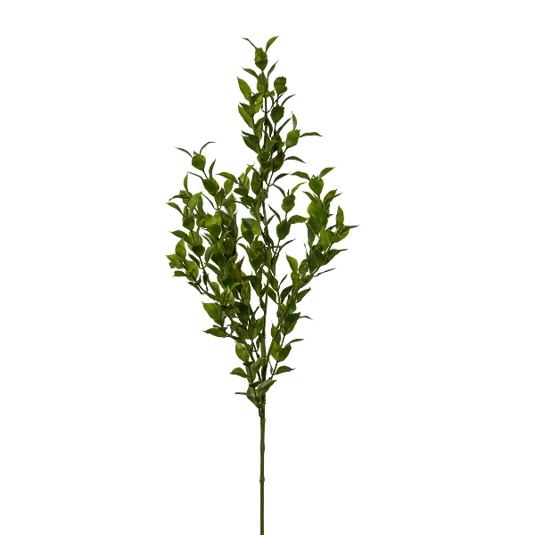 Gasper Ruscuszweig, 70 cm in Farbe Grün Gasper Ruscuszweig, 70 cm in Farbe Grün, Zweig, Kunstpflanze, Blätter, Grün, Ästchen