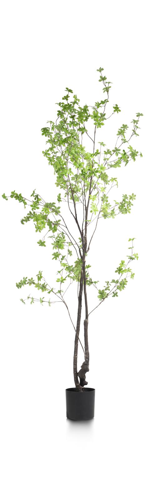 Coco Maison Kunstpflanze Tropaeolum 48281-GRN H210cm 